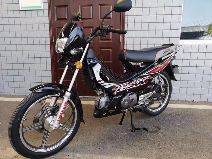1 Cylinder ZS Engine 110cc 50cc Gas Dirt Bike Super Cub Bike Cool Design